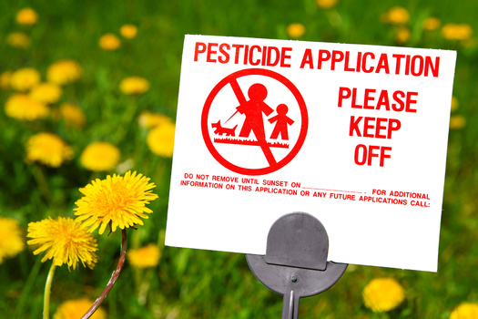 If a homeowner selects to be excluded from chemical sprays, they must agree to maintain their yard to the HOA's common standard, according to nonprofit Beyond Toxics. (Adobe Stock)