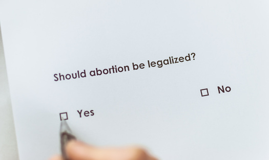 The firm that conducted the statewide poll in March, showing a majority of Minnesotans want to keep abortion legal, said it aligns with national poll results. (Adobe Stock)