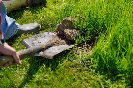 A program by the Utah Division of Water Services is showing residents how to save water by digging up thirsty plants on park strips and lawns and replacing them with drought-resistant species. (alexin21/adobe Stock)