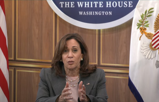 In Missouri, no health insurance -- not even private policies -- can be used for abortions. Vice President Kamala Harris joined providers Thursday to discuss the next steps. (The White House)