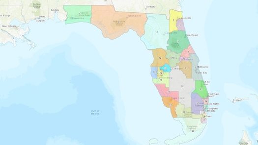 Gov. Ron DeSantis filed a new congressional map ahead of Florida's special session seeking to redraw the state's district lines. (Florida Legislature)