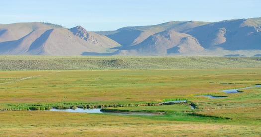 Irrigation in Long Valley in Southern Mono County supports ranching, fishing and local wildlife. But it may be cut off in order to send more water south to Los Angeles. (Jonathan Hyla)