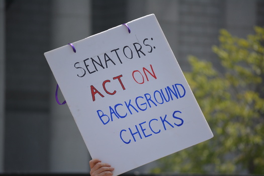 According to Pew Research, 53% of Americans support stricter gun laws. (Adobe Stock)