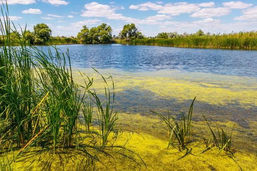 Aside from health risks, environmental officials say harmful algae blooms pose a threat to Iowa's water recreation industry. When beaches and other access points are temporarily shut down, it discourages plans for boating or swimming. (Adobe Stock)