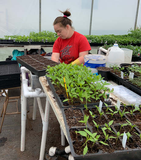 Con la ayuda de su familia, Marissa Schletzbaum opera Straw Hat Farms en el condado de Marion. (Foto cortes�a de Straw Hat Farms).