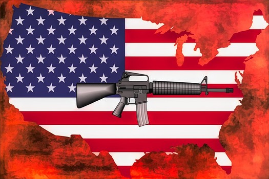 There are 20 million AR-15 style rifles in circulation across the country - more guns than people, according to the National Shooting Sports Foundation. (RayShrewsberry/Pixabay)