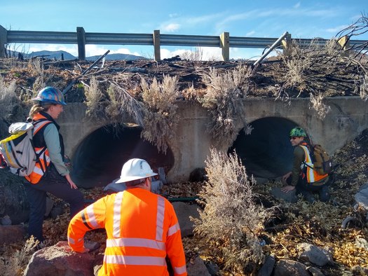 Caltrans workers inspect a culvert designed to allow wildlife to pass safely underneath the highway. (Caltrans)