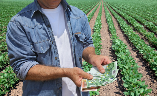 Business-management courses can help new farmers understand systems for allocating expenses, productions costs and other tools to make a profitable operation. (Adobe Stock)