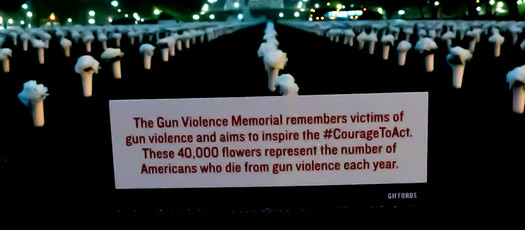 In 2019, West Virginia's McDowell County had the highest gun death rate, followed by Clay County and Roane County, according to data from The Educational Fund to Stop Gun Violence. (Flickr)