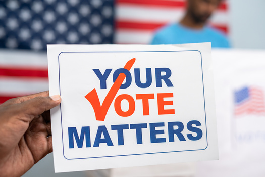 Only one county in Michigan - Genessee County - offers Election Day opportunities for eligible voters in jail. (WESTOCK/Adobe Stock)