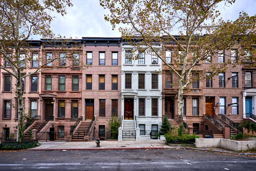 Research has shown that tree canopy and urban forests can help cities retain storm water, provide habitat for animals, reduce summer temperatures and store greenhouse gases. (Adobe Stock)