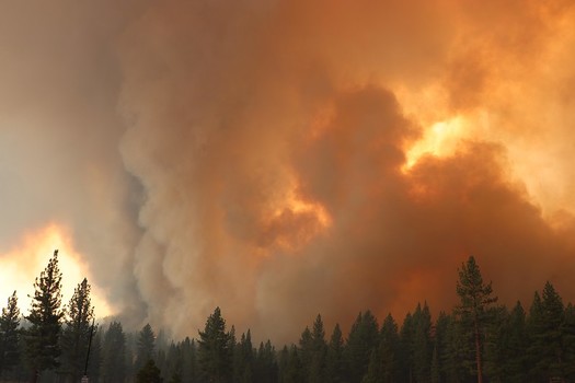 Massive plumes of smoke rise from the Tamarack Fire, Nevada's largest conflagration of 2021. (U.S. Forest Service)