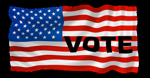 One in five election officials who withstood the 2020 pres­sure campaign said they plan to leave before the 2024 elec­tion, according to a recent Bren­nan Center survey. (PeteLinforth/Pixabay)
