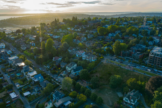 A new report includes an assessment of urban trees in nearly 80 cities in the Puget Sound area. (adonis_abril/Adobe Stock)