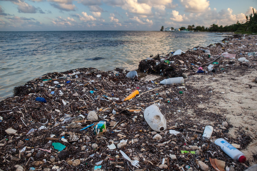 The United States generates more plastic waste than any other country, according to a report from The Pew Charitable Trusts. (EAD72/Adobe Stock)