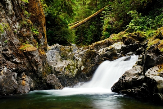 The Sams River on the Olympic Peninsula is among the rivers that would be protected by legislation in Congress. (Javin Elliff)