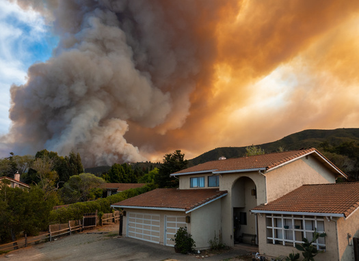 Colorado communities can apply for state and federal funding to help reduce fuels that feed wildfires. (Adobe Stock)