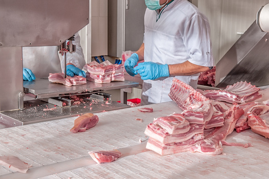 Nearly 40% of meat-packing workers in the United States are immigrants. (Artem Merzlenko/Adobe Stock)