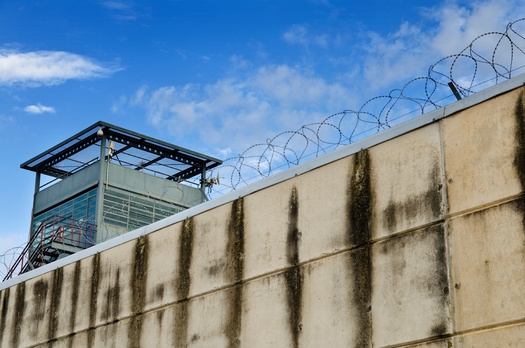 The Illinois Department of Corrections oversees more than 40 facilities, ranging from traditional prisons to work camps and transition centers. (Adobe Stock)