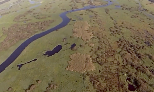 The decades-long project to restore the historic Kissimmee River was completed in 2021. (Screenshot of aerial tour via South Florida Water Management District)