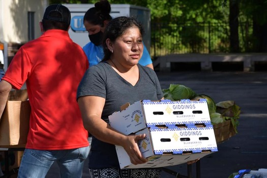 Farmworker families in Apopka benefit from a food distribution hosted by the Farmworker Association of Florida. (Yesica Ramirez)