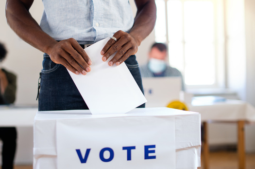 Michigan does not allow split-ticket voting in the primary election. (Adobe Stock)