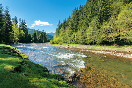 Around 58% of waterways were rated poor for conditions related to chemical stressors such as phosphorus, nitrogen, salinity and acidification, according to the latest assessment of the nation's rivers and streams by the Environmental Protection Agency. (Adobe Stock)