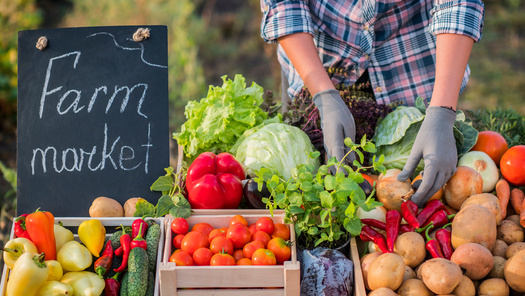 Organizers behind farmers markets say grant programs have helped to spur interest among young entrepreneurs who want to sell locally grown food. (Adobe Stock)