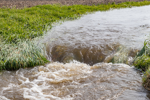 In addition to poor monitoring of water quality, environmental advocates say harmful runoff from agriculture may not improve, especially when conservation practices for farmers are strictly voluntary. (Adobe Stock)