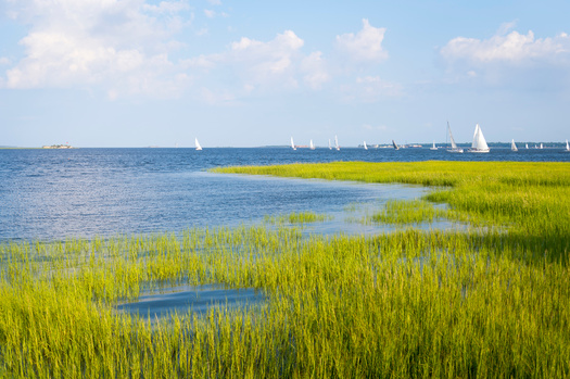 NOAA seeks to make it easier for groups and agencies to work towards restoring habitats. (Adobe Stock)