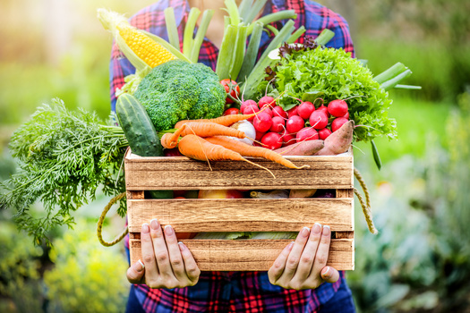 The USDA says pollinators add more than $18 billion in revenue to crop production every year. The major U.S. crops pollinated by honey bees and other pollinators include almonds, non-citrus fruits, berries, melons and squash. (Milan/Adobe Stock)