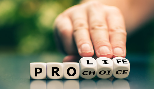 A new report looks at the influence of Crisis Pregnancy Centers, which aim to deter people who are pregnant from considering abortion. (Fokussiert/Adobestock)