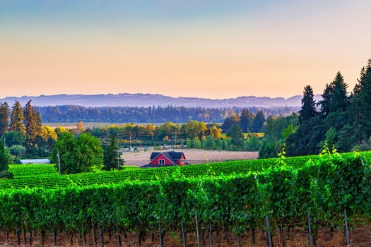 Projects like expanding broadband in rural areas will be available to communities under the infrastructure package passed last year. (mitgirl/Adobe Stock)