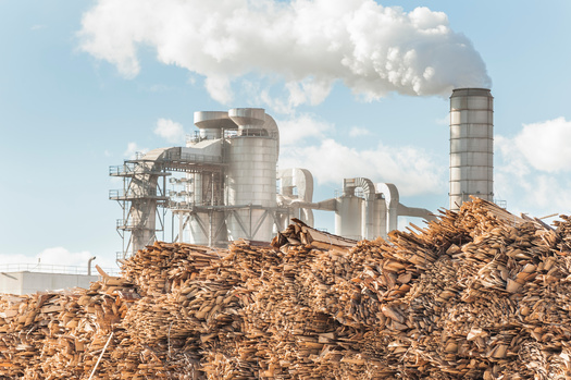Much like coal and oil, woody biomass is a carbon-burning form of energy production that emits carbon dioxide. (Adobe Stock)