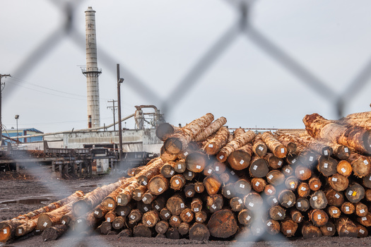 The timber industry has nearly disappeared in Washington state in the past three decades, creating challenges for communities. (Leslie C Saber/Adobe Stock)