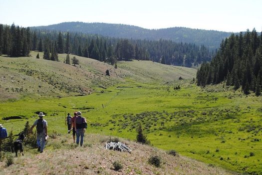 Since 2019, volunteers have helped complete a watershed restoration project in Midnight Meadows, located in New Mexico's Carson National Forest. (amigosbravos.org)
