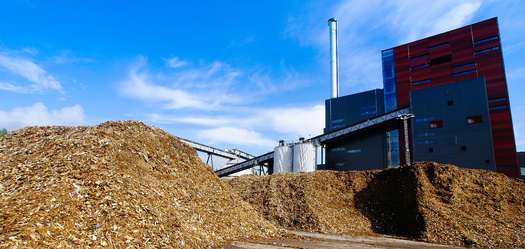 According to a study by the Center for Biological Diversity, woody biomass energy generation in California emits almost four times the carbon pollution of gas-generated power. (Adobe Stock)<br />