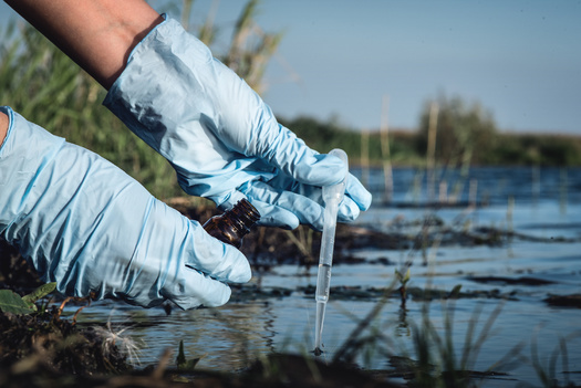 Concerning levels of PFAS have been discovered in the environment, water and wildlife of the Great Lakes region. (Adobe Stock)