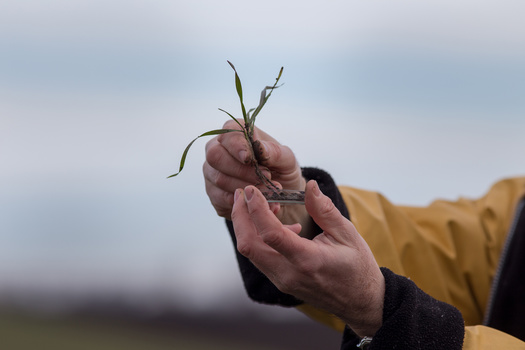 in the late 1800s, the U.S. Department of Agriculture began sending 