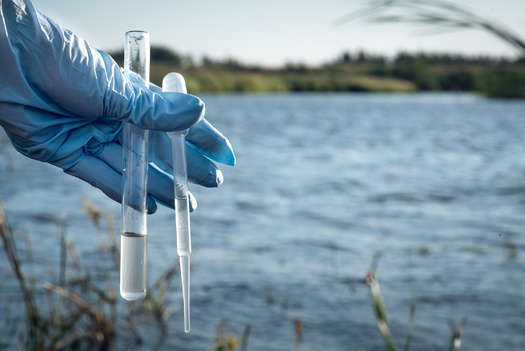 PFAS contamination has been confirmed at 228 sites in Michigan. (Adobe Stock)