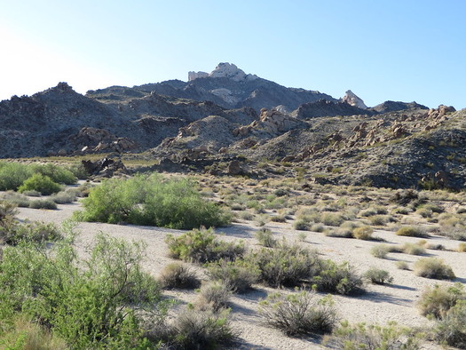 The Yuman and Mojave peoples believe that all life began at Spirit Mountain, known as Avi Kwa Ame. (Ken Lund/Flickr)