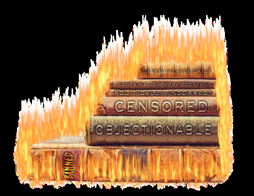 From July 2021 to June 2022 across the nation, there were 2,532 instances of individual books being banned, affecting 1,648 unique book titles, according to Pen America. (prettysleepyart/Pixabay)