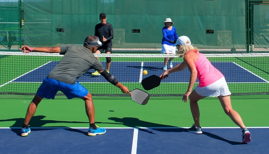 Pickleball, one of the events at this weekend's Virginia Senior Games, has become one of the fastest-growing sports in the country, according to Forbes magazine. (Bob/Adobe Stock)