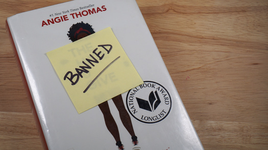 According to a recent survey by the American Library Association, about 71% of voters, across party lines, oppose book bans altogether. Yet, the ALA has found 1,651 different books were the target of book bans since the start of 2022. (Adobe Stock)
