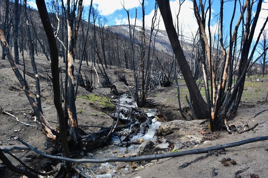 Researchers warn that as climate change increases wildfire areas in snow zones throughout the West, the wildfire influence on the snowpack also will grow. (Adobe Stock)