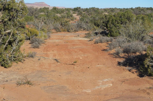 Fans of solitude say the route density in Labyrinth Canyon can make it difficult to escape the noise of motorized vehicles. (Bureau of Land Management)  