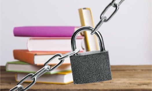 This year, more than 70% of the attempts to restrict library resources have targeted multiple titles, according to the American Library Association. (Adobe Stock)