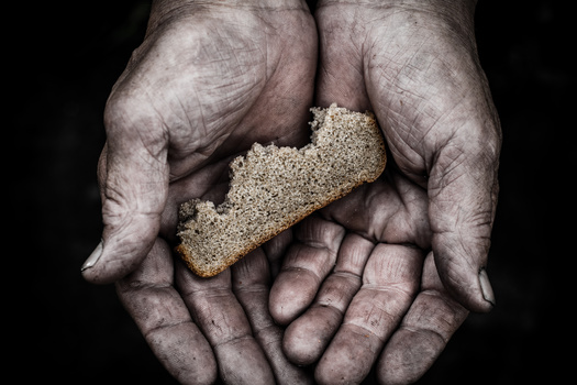 According to a report from Northwestern University, one in four American households with children has trouble putting enough food on the table. (Disha1980/Adobe Stock)