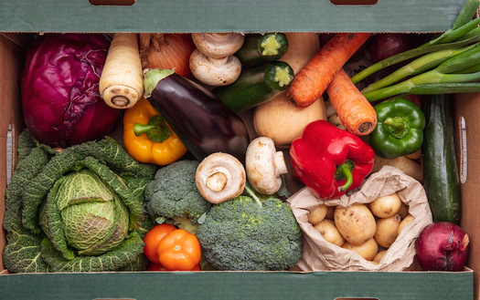 According to Feeding Kentucky, 70% of Kentucky households that are receiving SNAP have children, and 40% of them have an elderly person or someone living with a disability. (Adobe Stock)