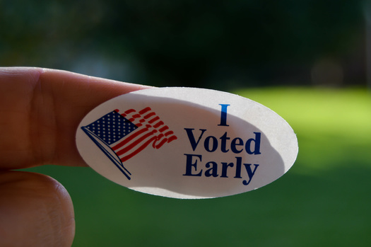 A recent Marist poll predicts 71% of registered New York voters will head to the polls this November. Statewide, 15% plan to cast their ballots early, and 12% will vote by mail or absentee ballot. (Adobe Stock)